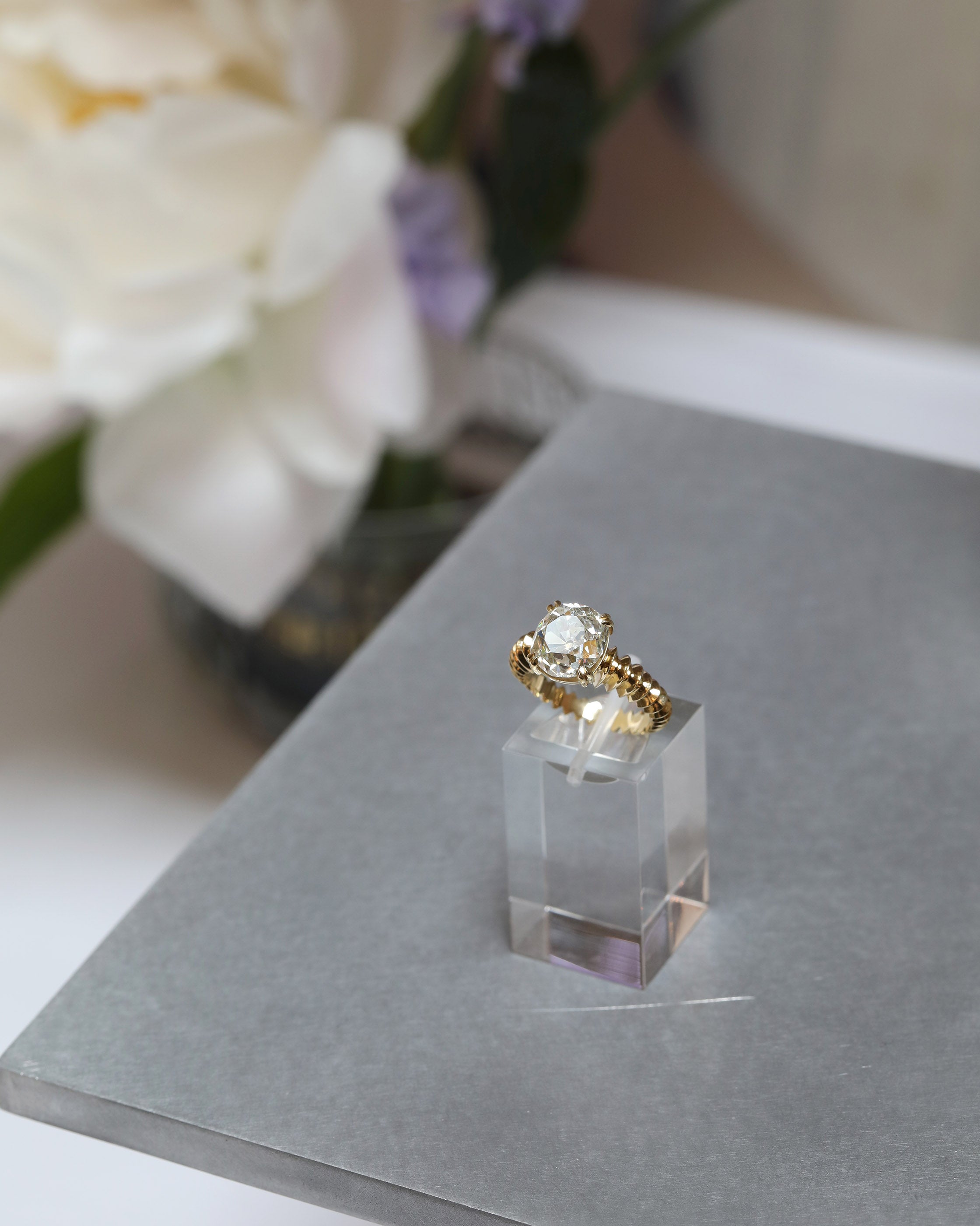 Behind the Scenes of our Press Launch