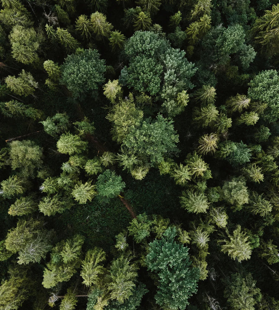 Environmental Credits