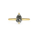 Plutus Ring
