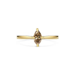 Sezanne Ring
