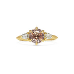 X - Tigre Ring