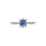X - Aroa Ring