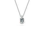 X - Abbott Necklace